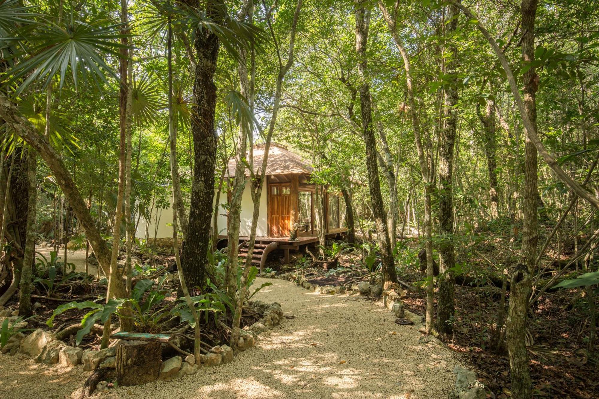 Pepem Holistic Experience - Peaceful Retreat Near Tulum (Adults Only) Villa Buitenkant foto