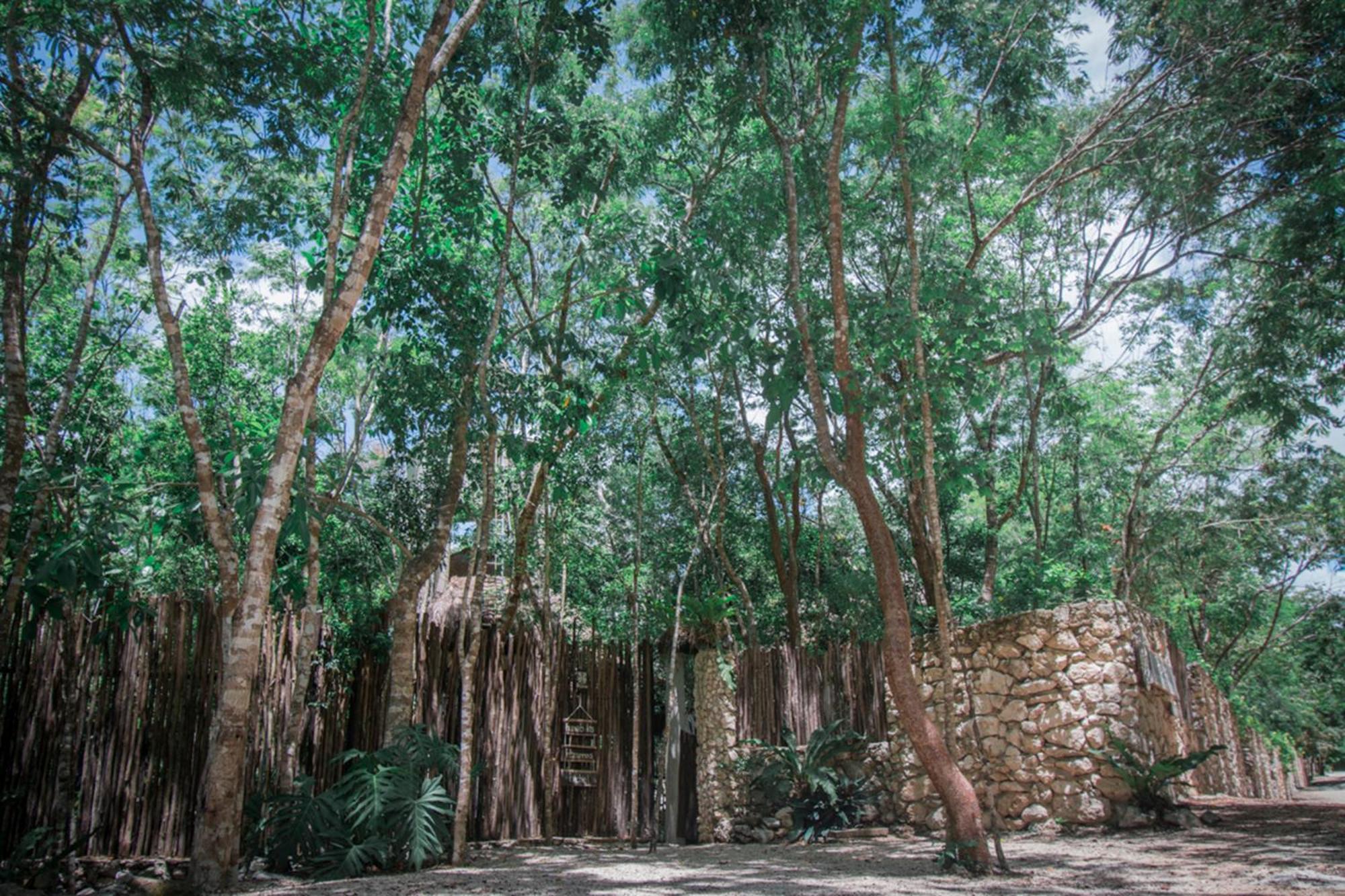 Pepem Holistic Experience - Peaceful Retreat Near Tulum (Adults Only) Villa Buitenkant foto
