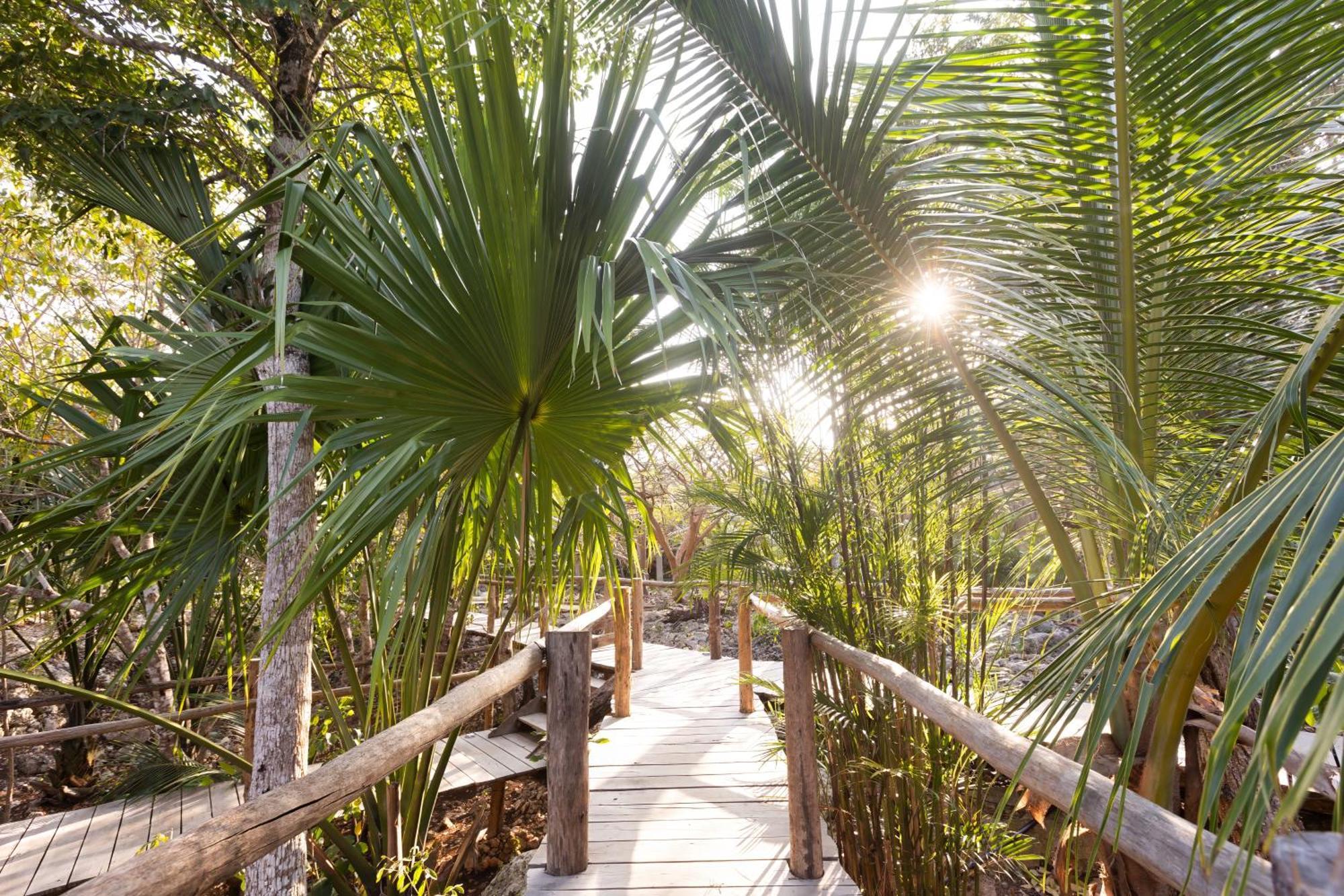 Pepem Holistic Experience - Peaceful Retreat Near Tulum (Adults Only) Villa Buitenkant foto